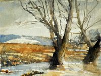 The River Rib at Latchford